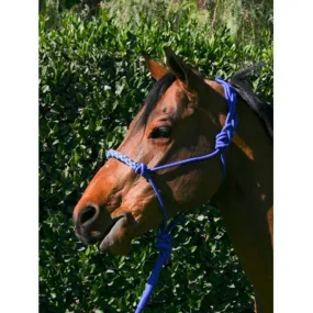 Kensington Rope Halter with Lead