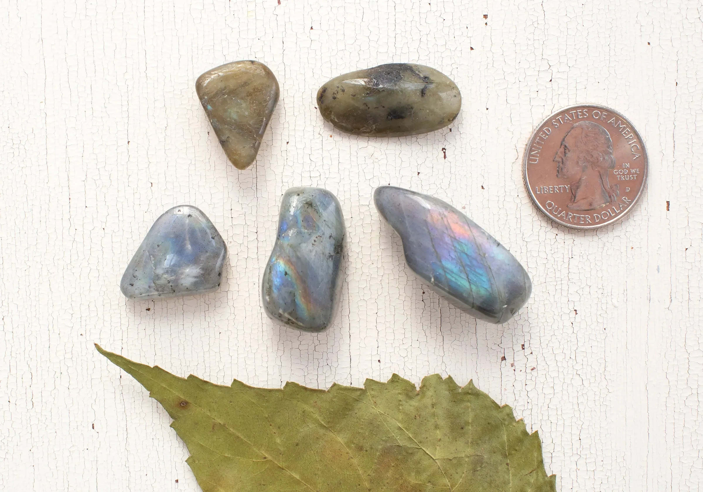 Labradorite - Tumbled