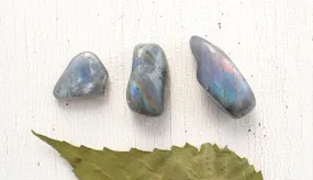 Labradorite - Tumbled