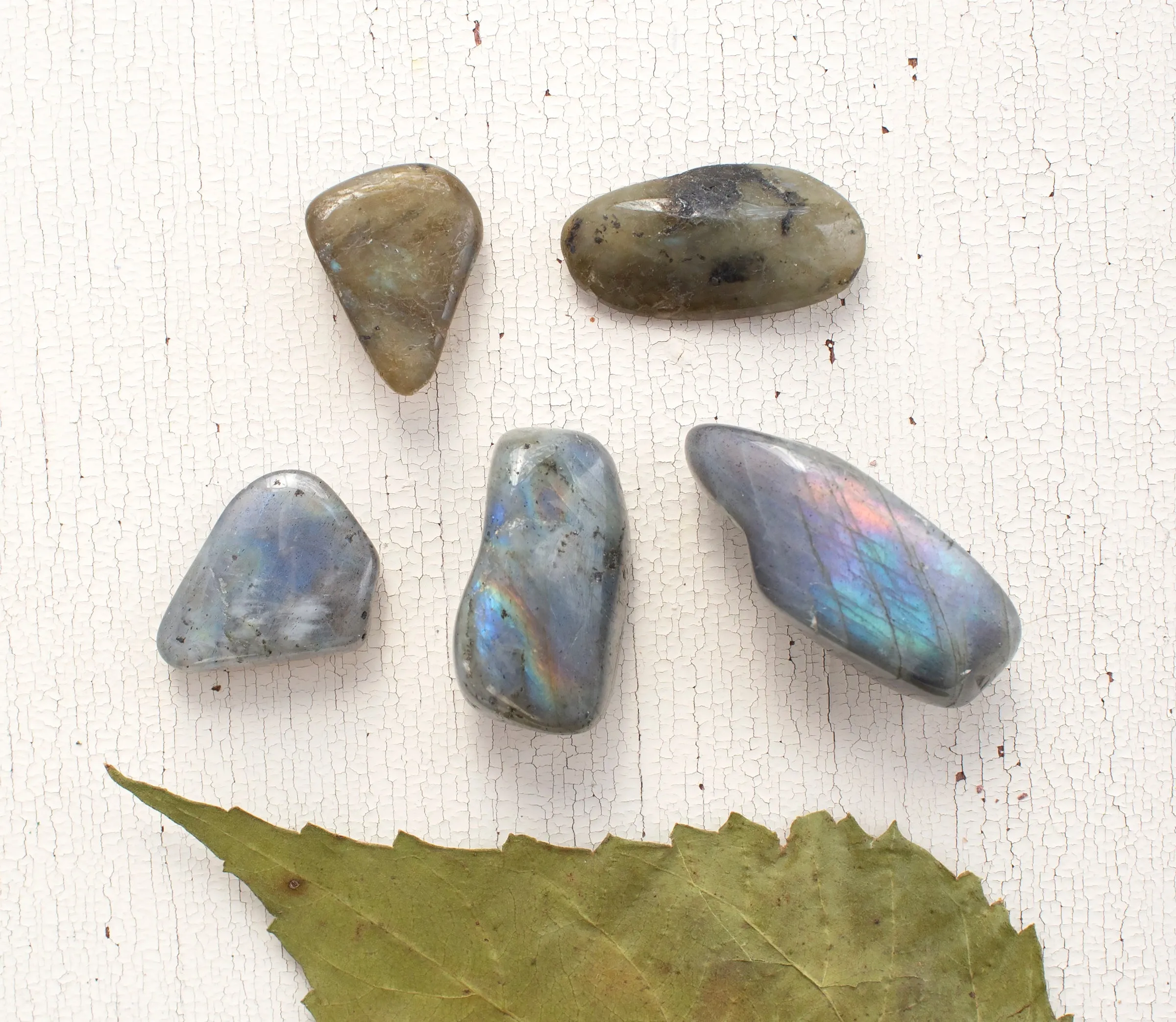 Labradorite - Tumbled