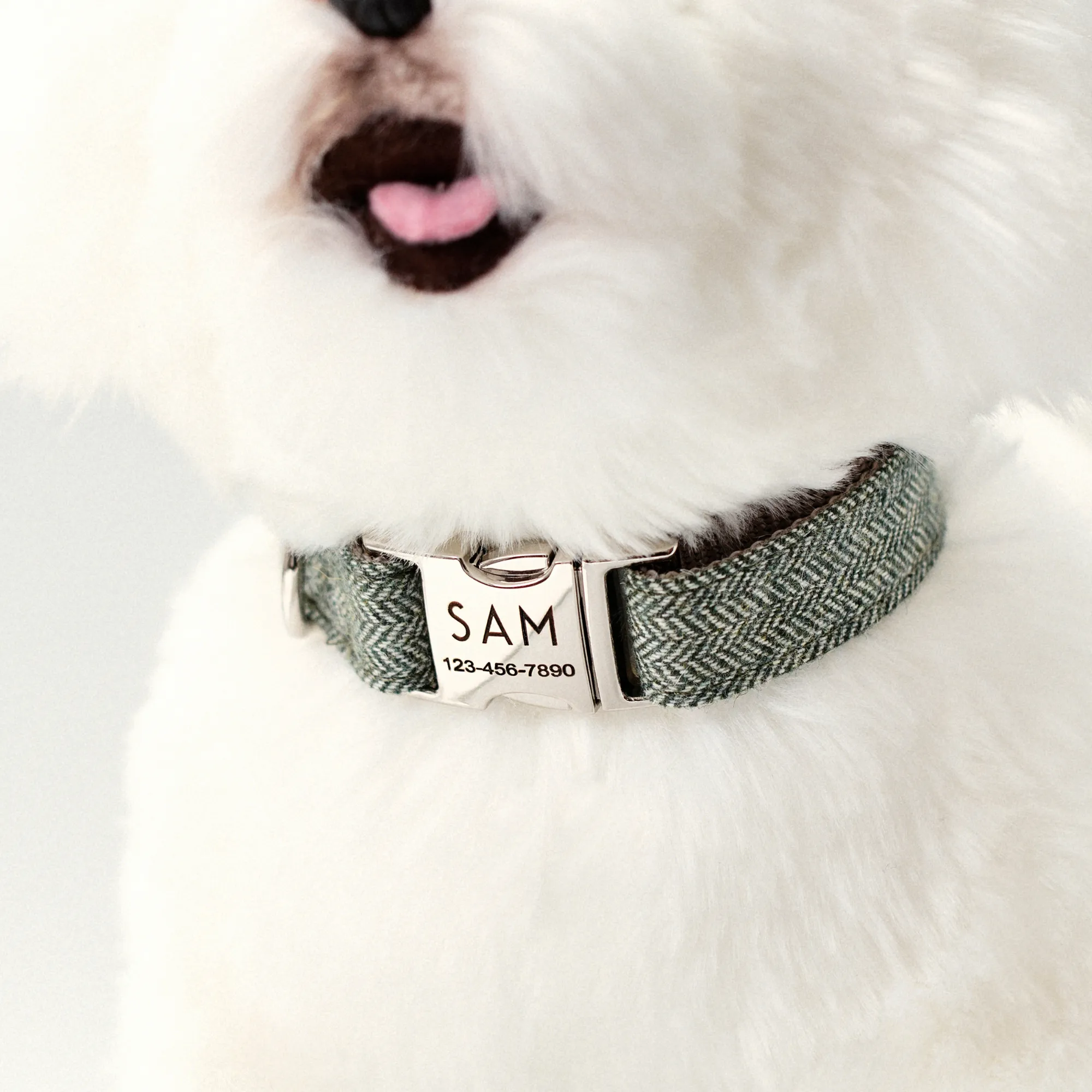 Personalized Dog Collar