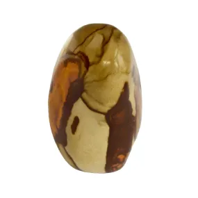 Venus Polychrome Jasper